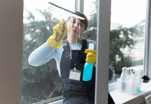 Nettoyage de vitres intérieures et extérieures à Guchan
